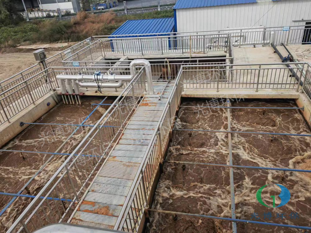 赛克赛斯生物科技股份有限公司污水系统